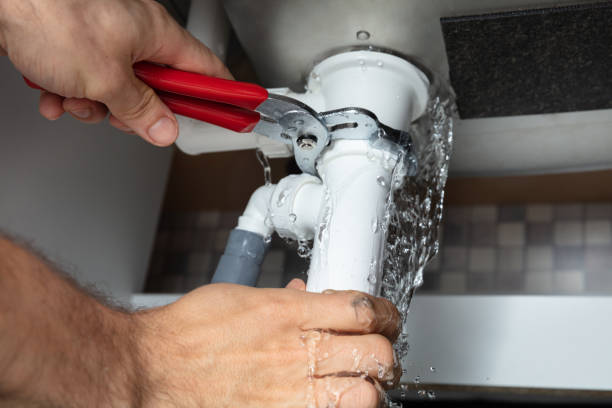 Best Water damage contractors near me  in Howland Center, OH