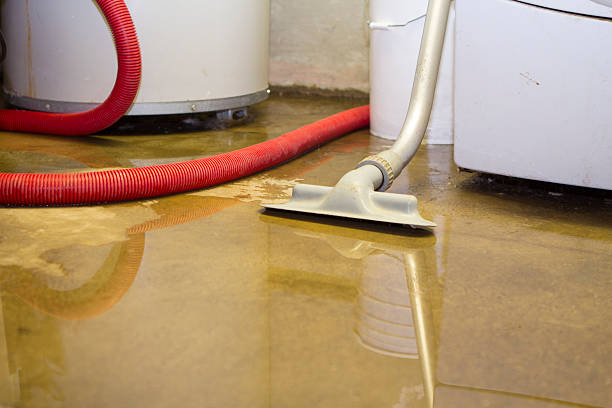  Howland Center, OH Water damage restoration Pros