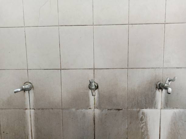 Best Water damage restoration process  in Howland Center, OH