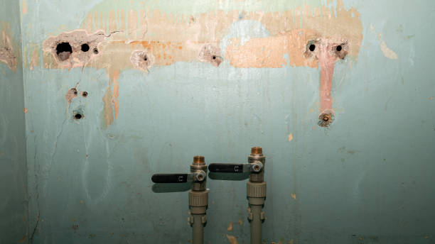 Water damage restoration mold remediation in Howland Center, OH