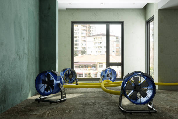 Best 24-hour water damage restoration  in Howland Center, OH
